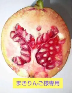 まきりんご様 リクエスト 2点 まとめ商品