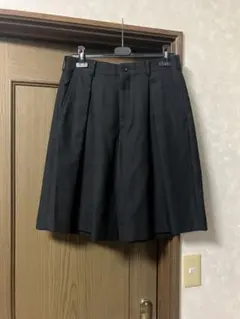 コムデギャルソンオムプリュス AD2017 ショートパンツ ハーフパンツ 黒