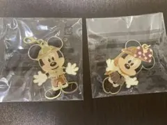 ディズニーリゾート ミッキー ミニー チャーム