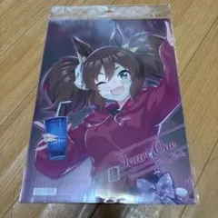 訳あり ウマ娘 東京メガイルミ2024 コラボ　A4クリアファイル イナリワン
