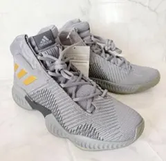 アディダス adidas フィットネスPROBOUNCE2018 22.5のサムネイル