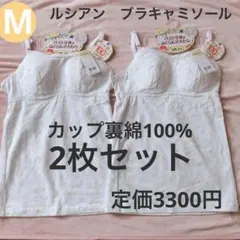 Item thumbnail for item 3a53ad51-4564-486f-8ad9-c0e30c9beada