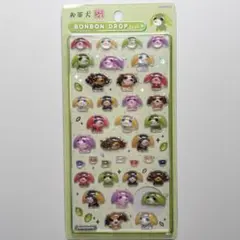 【新品】お茶犬 BONBON DROP シール ボンドロ