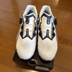 美品Mizuno ゴルフシューズ BOA25cm送料無料匿名発送 楽天市場】ミズノ ゴルフシューズ（カラーネイビー）（スポーツ