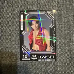 THE RAMPAGE 武知海青 BOT フォトカ レア