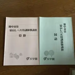 2025年最新】浜学園 小6 最高レベル特訓 テキストの人気アイテム