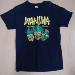 Item thumbnail for item f202503c-2d29-4d0f-88d8-a2ed1066c7c9