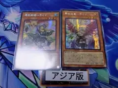 【アジア版 匿名配送】憑依装着 ライナ　シークレットレア　アーコレ　絵違い