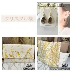 クリスタル様 リクエスト 3点 まとめ商品　蝶バネイヤリング