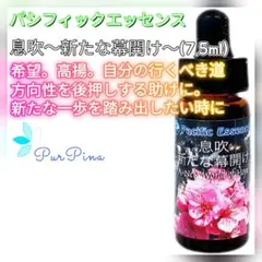トゥエルブジェムズ(30ml) パシフィックエッセンス フラワーエッセンス