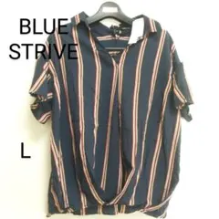 Item thumbnail for item 30783863-a08f-4583-9f30-ce4748c507cd