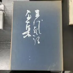 仮名用 つらゆき 半切 書道用紙 ¥11880 - メルカリ