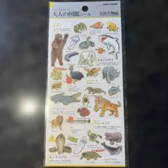 チョコ様 リクエスト 2点 まとめ商品