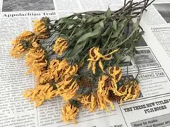 ふくちゃん(•‿•)様 リクエスト 3点 まとめ商品