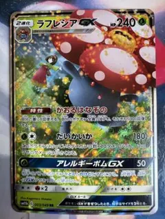 【即落ok】　ラフレシアGX アレルギーボムGX エリカ　②