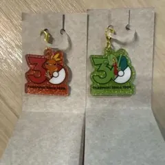 ポケモン 30周年ロゴマスコット アチャモ キモリ セット
