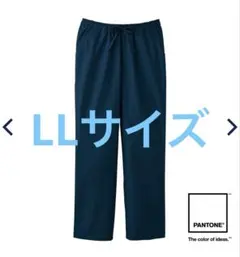 Item thumbnail for item 8a8a5015-db65-4adb-b9a5-7d76bb26b1da