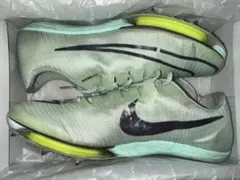 Nike ナイキ　エアーズームマックスフライ　ミントカラー　 27.５cm