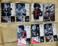 バレーボール男子 「SR全員、R関田、N富田、西田、小川、石川、甲斐7枚セット