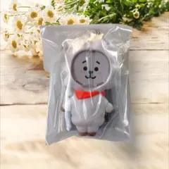 262 BTS BT21 フォトフレームマスコット　RJ ジン