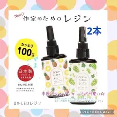 【同梱ok‼︎】作家のためのレジン 100g 2本＊クリア＊大容量＊レジン液