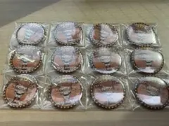 めいちゃんXYZ 缶バッチ12個