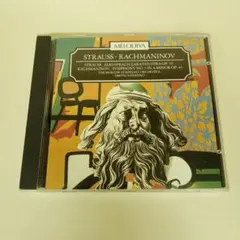 真作 Ryan McGinness ライアンマクギネス 絵画 原画 2点セット 2026年最新】ryan mcginnessの人気アイテム - メルカリ