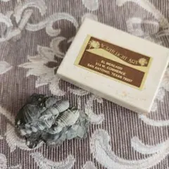 Item thumbnail for item 943f67bd-ec23-4ff5-b1dd-aaba170189ef