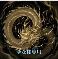 ゆな様 リクエスト 2点 まとめ商品★　２月までお取り置き