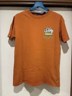 Item thumbnail for item 1617d774-9bb8-4a27-87ba-0cfc2985bc7a