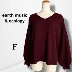 【アースミュージック＆エコロジー】Vネックニット ドロップショルダー 春先 F