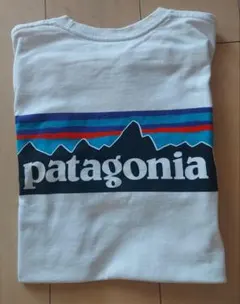 最終お値下げ　Patagonia 　Tシャツ　ホワイト　メンズ・レディース　XS