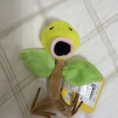 ポケモンfit マダツボミ