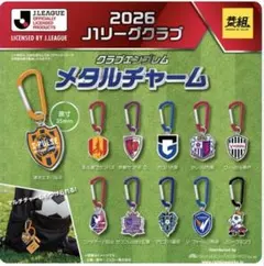 ファジアーノ岡山 Jリーグ クラブエンブレム メタルチャーム