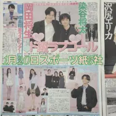 匿名配送！送料込み！ 1月20日 朝刊　 スポーツ紙全5社