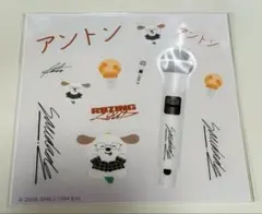 RIIZE ランダムトイ 東京ドーム アントン