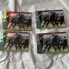 レイデオロ トレーディングカード 5枚セット 箔押しサイン入り