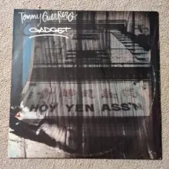 Tommy Guerrero Loose Grooves アナログレコード - メルカリ