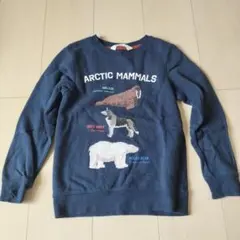 H&M 裏起毛 トレーナー 130cm 122/128