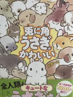 兎に角うさぎがかわいい