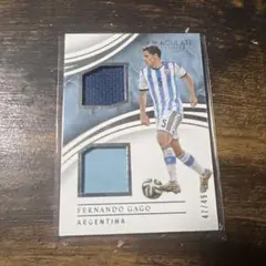 Fernando Gago 2017 Immaculate /49