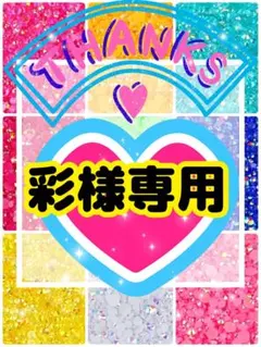 彩様専用╰(*´︶`*)╯♡