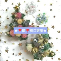 ★❣️蘭❣️様ご専用★天使が降りてきそうなクリスマスツリーH I＆小さな雪の結晶