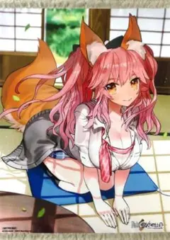 玉藻　フェイトエクストラ　えびてん特典