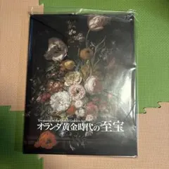 Treasures of the Dutch Golden Age 画集