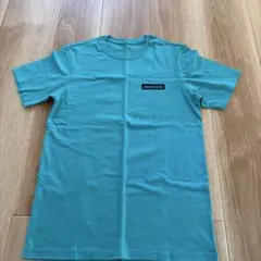 Patagonia パタゴニア ハレイワ Tシャツのサムネイル