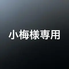 鬼滅の刃　冨岡義勇　フィギュア　8点　まとめ売り　一番くじ　ぬーどるストッパー 鬼滅の刃 冨岡義勇 フィギュア 8点 まとめ売り 一番くじ ぬーどる