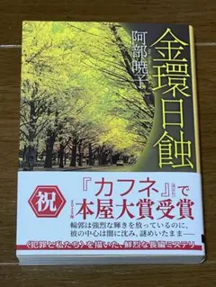 金環日蝕 阿部暁子
