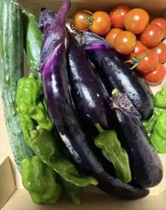 新鮮野菜詰め合わせのサムネイル