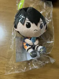 2025年最新】影山飛雄 ぬいぐるみ 一番くじの人気アイテム - メルカリ